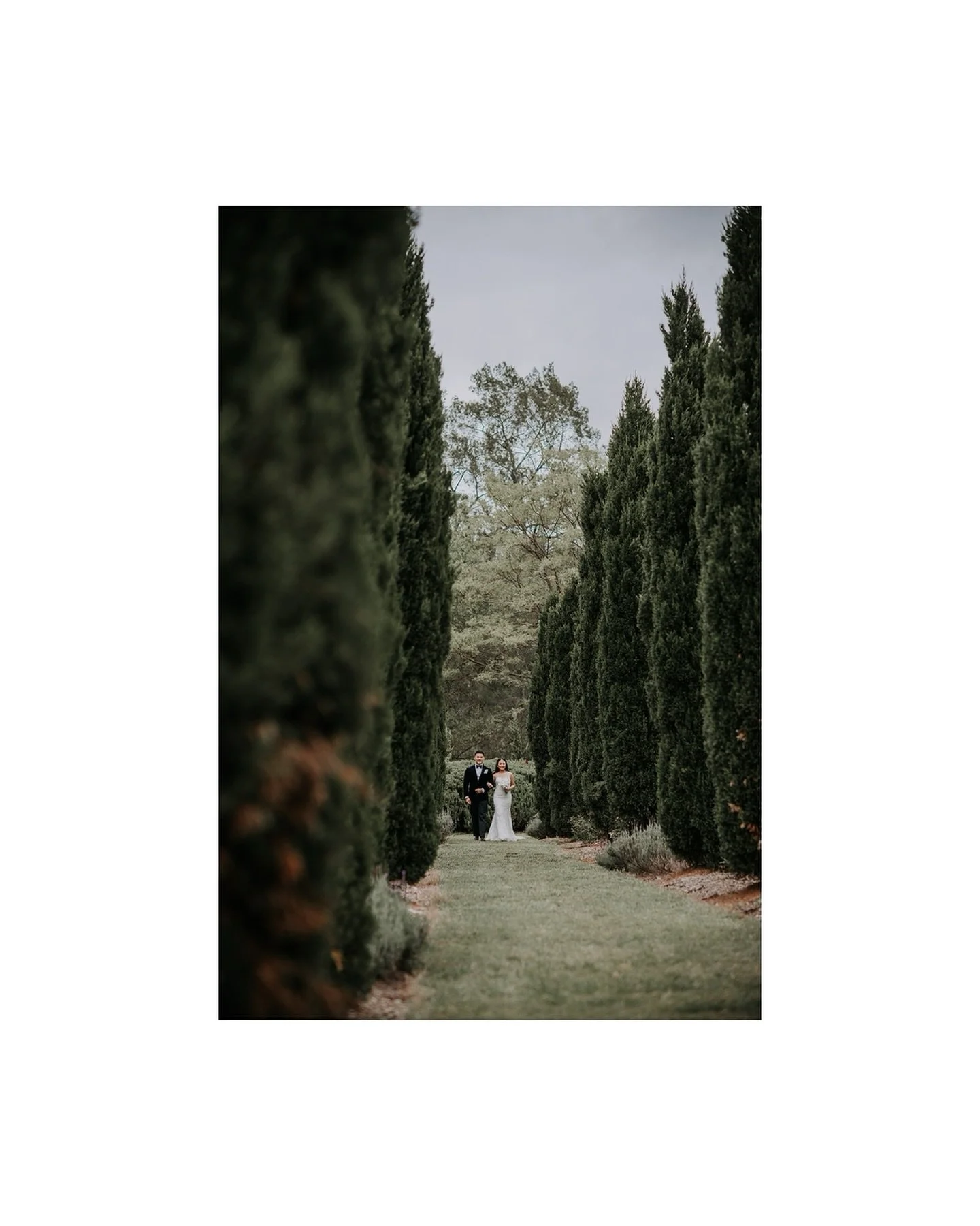 &mdash;&mdash; Nitida is obsessed with alpacas, so Ben made sure to introduce some surprise alpacas when they put a ring on it at the ever beautiful @redleafwollombi 

@lovelenscapesphotography
@nitidanash 
@ysl 
@redleafwollombi 
@huntervalleyweddin