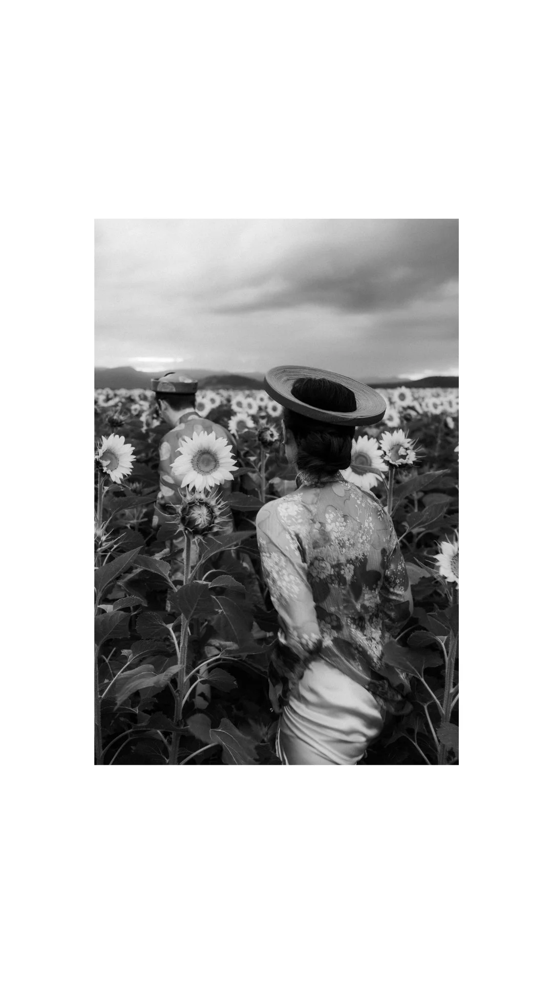 Kalbar Sunflowers Engagement Photo - Lovelenscapes Brisbane Wedding Photographer - Traditional Vietnamese Ao Dai - 7.jpg