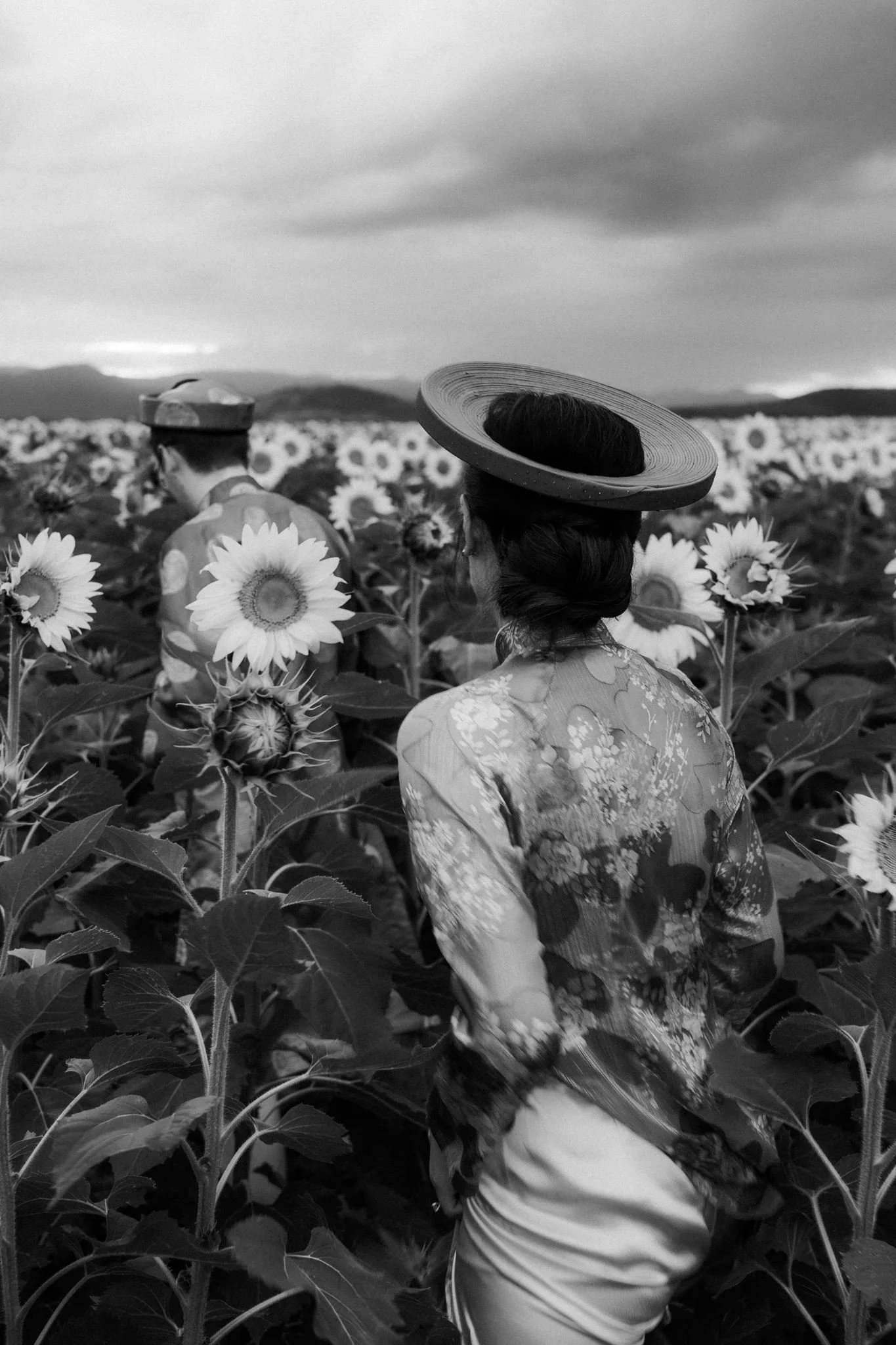 Kalbar Sunflowers Engagement Shoot