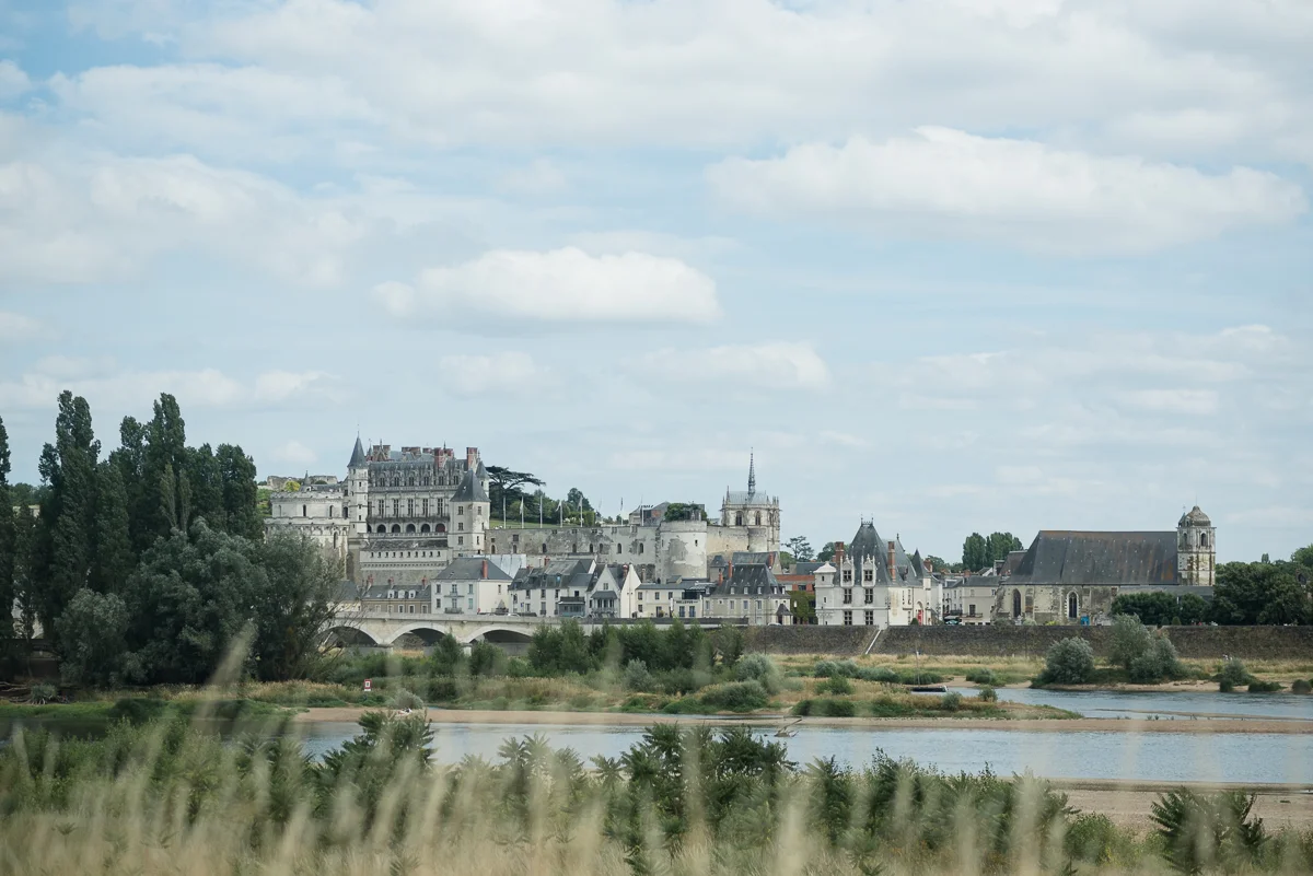 D75_8562.jpg