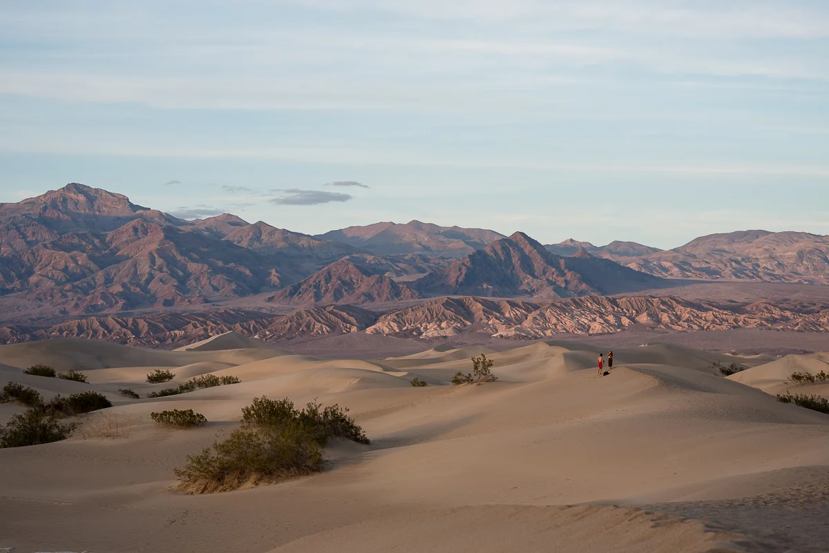 California (1).jpg