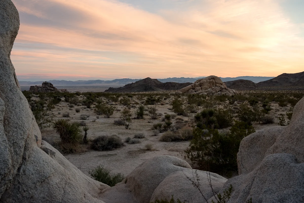 California (16).jpg