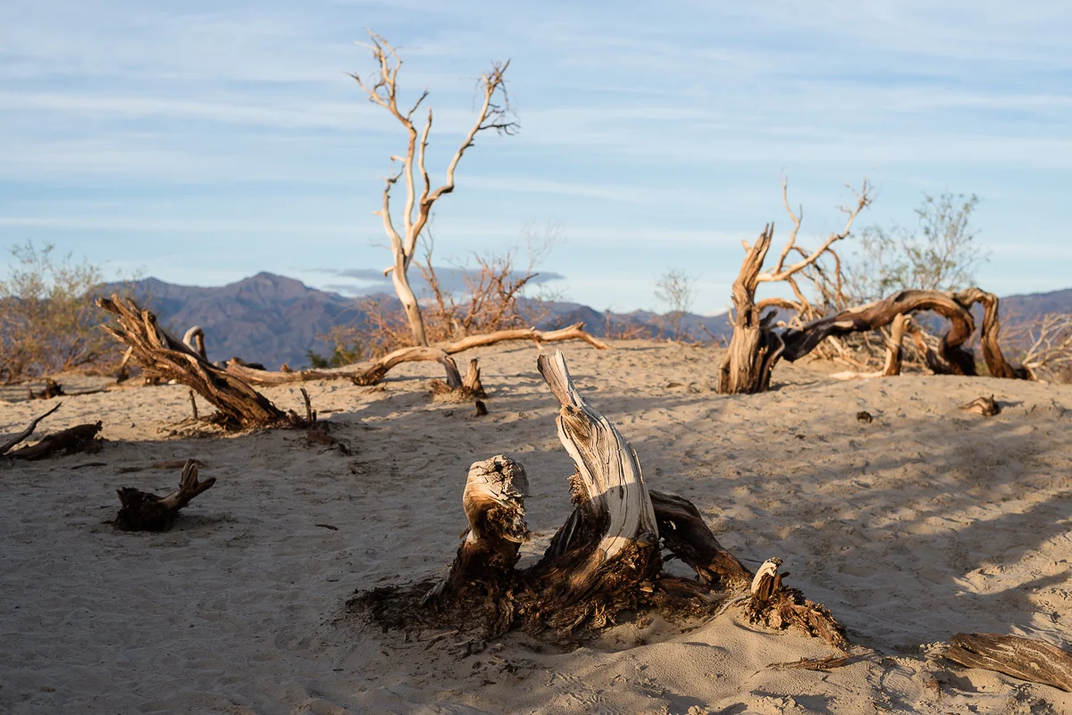 California (68).jpg