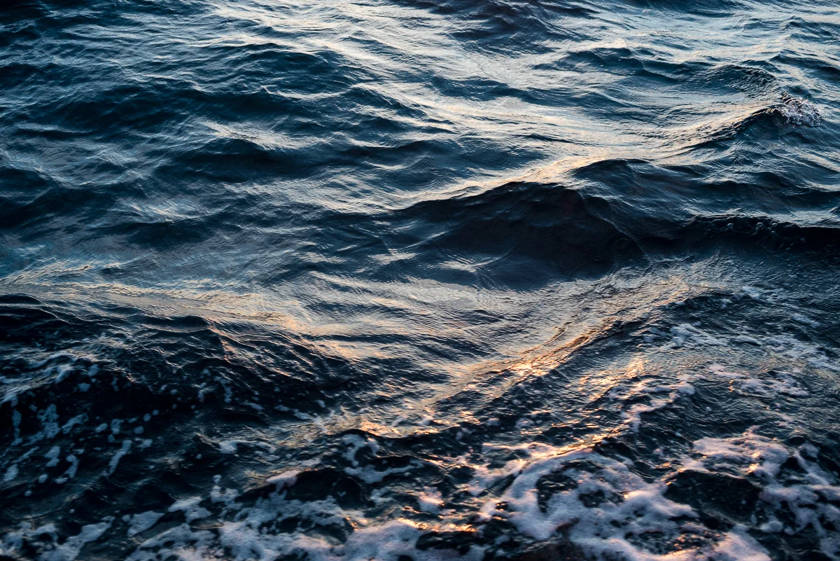 Soul Sailing Crew (20).jpg