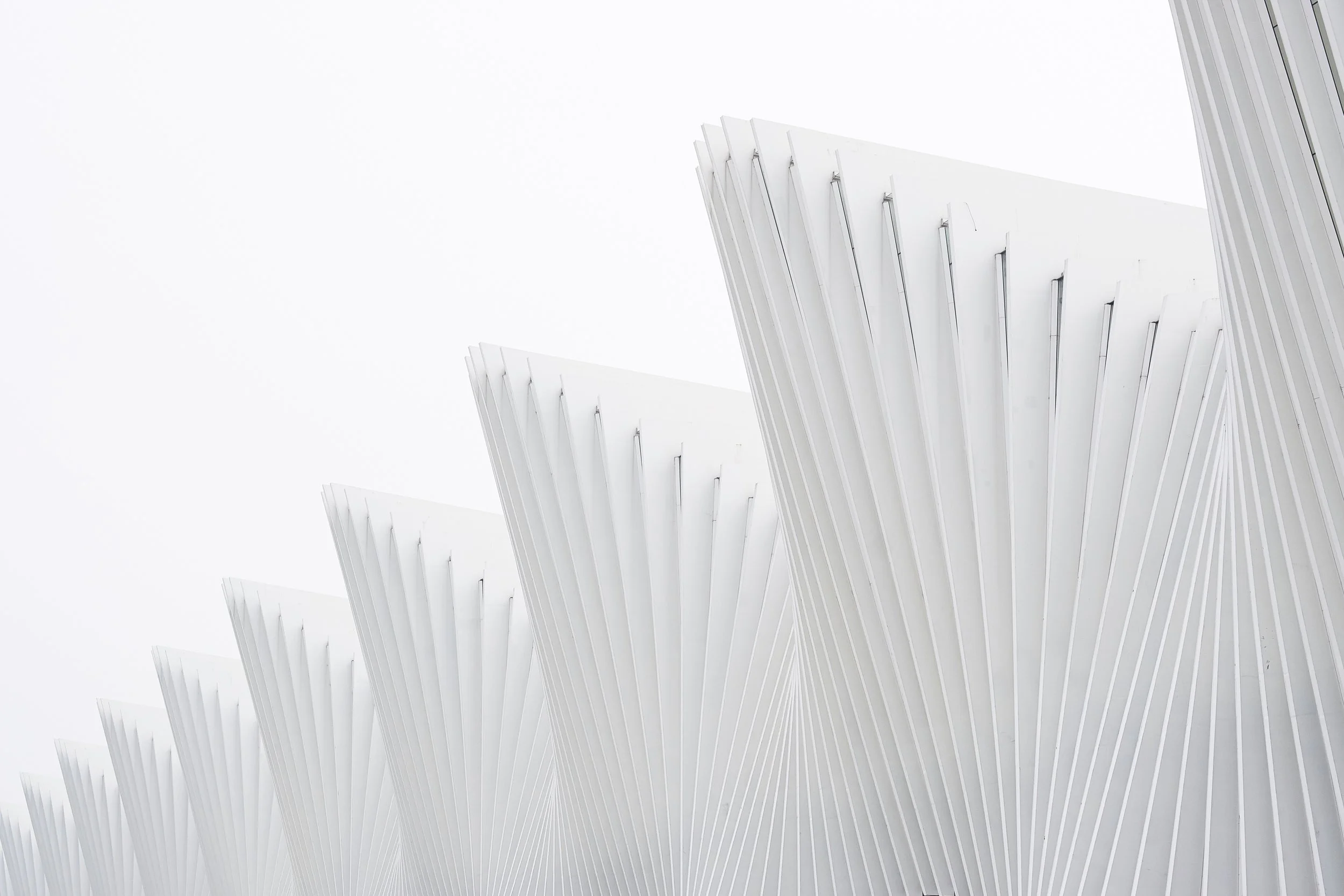 luca-bravo-198061 architecture.jpg