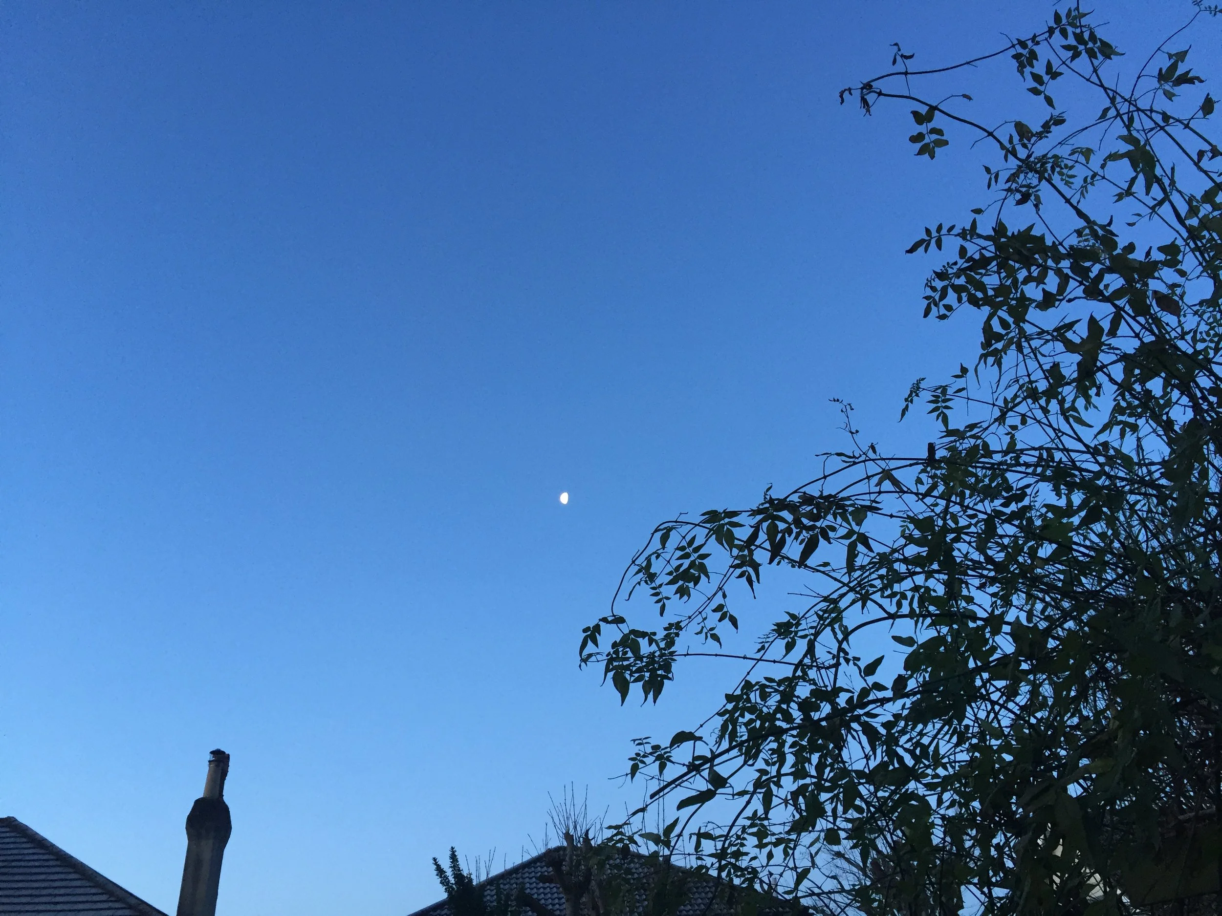 RED January - Day 6&7