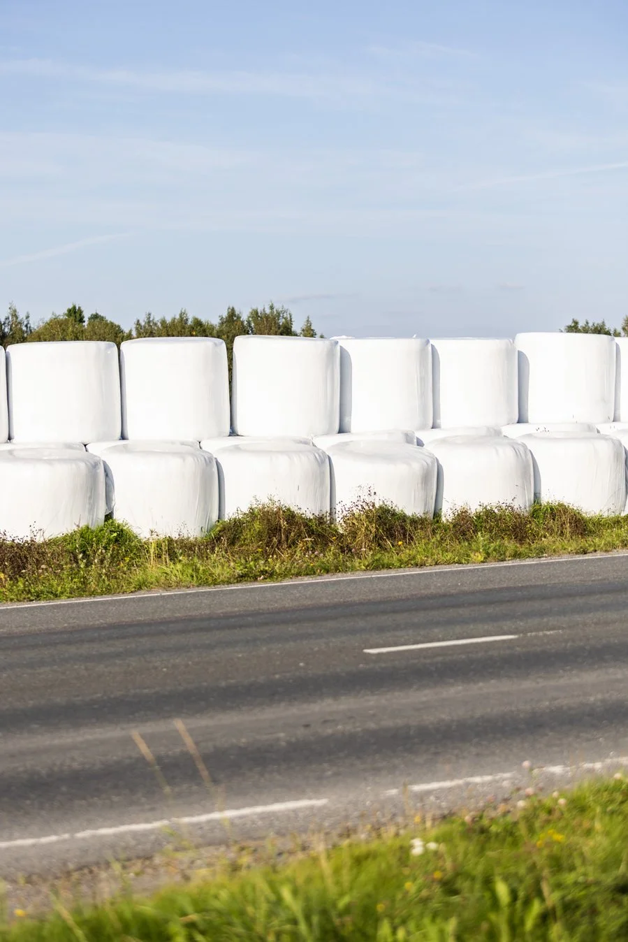 nekala 090925 JR 12.jpg