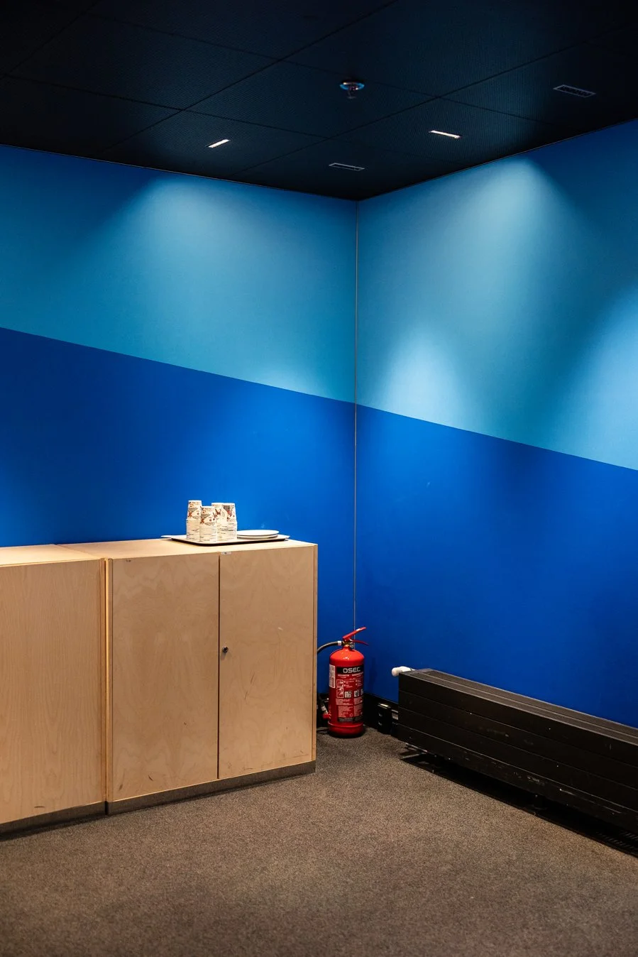 randoms 101225 JR 11.jpg