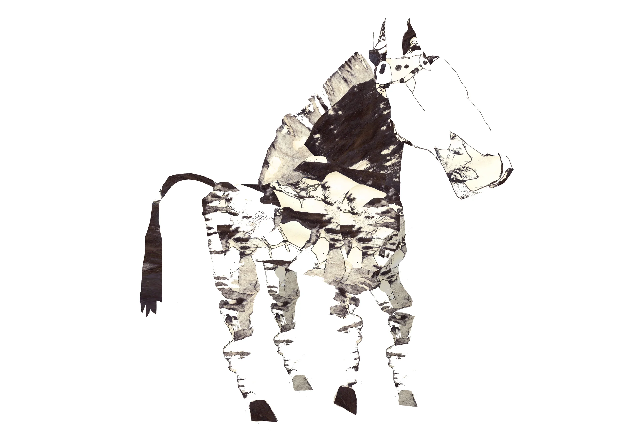 horse.jpg