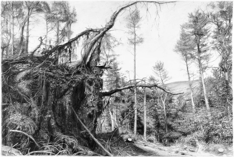 Unearthed