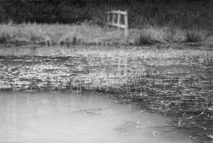 Well Wood Pond