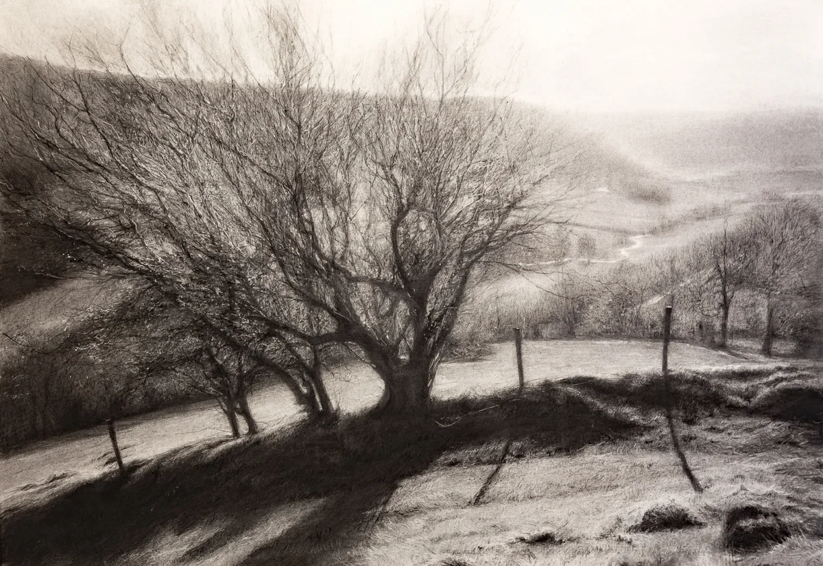 River Valley, 2018 (charcoal, 72 x 105 cm)