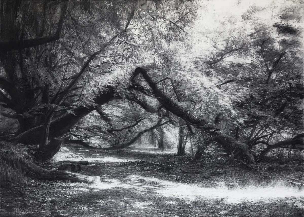 Towards This Place Lightly , 2019 (charcoal 75 x 105 cm)