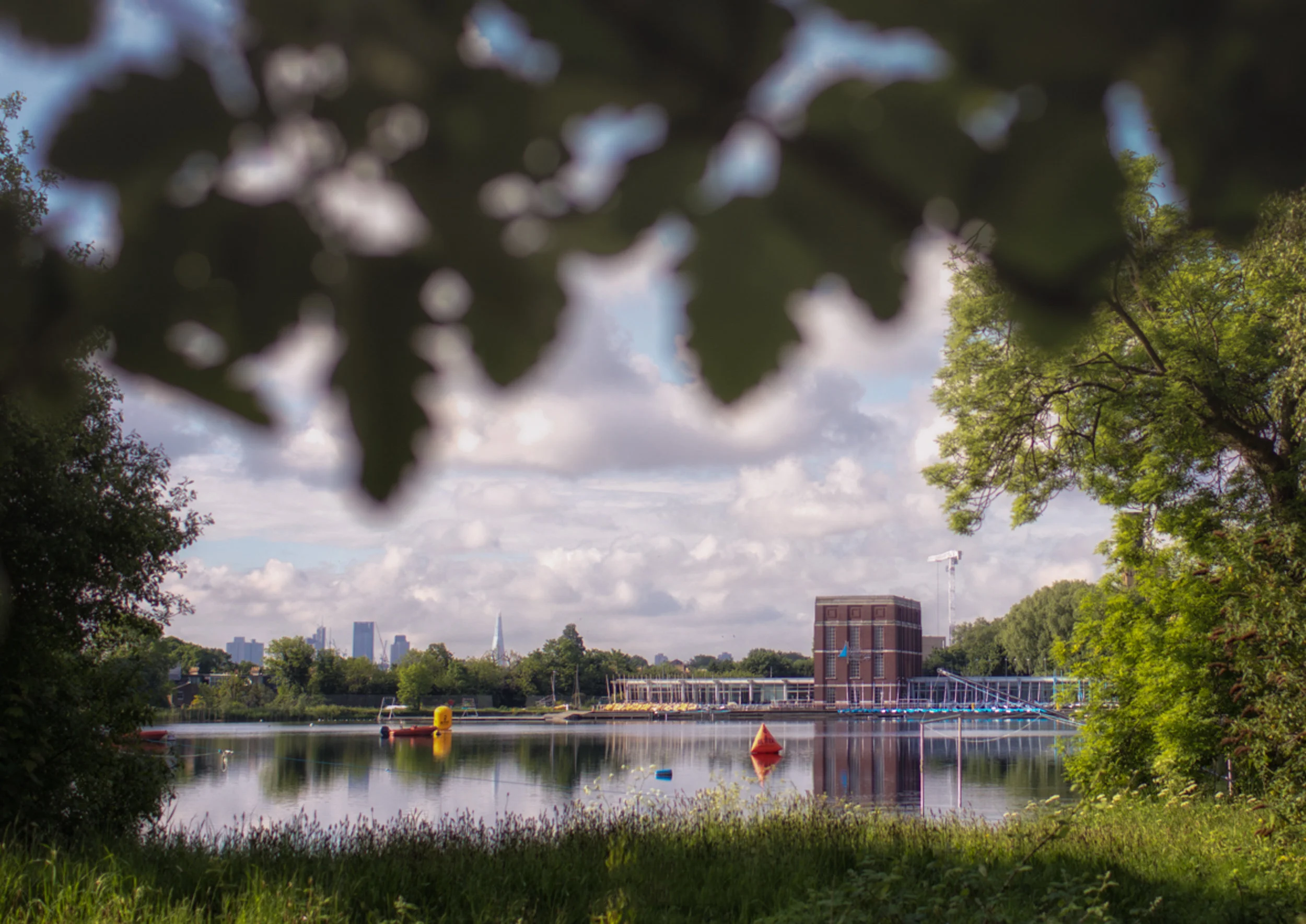woodberry a3-3.jpg