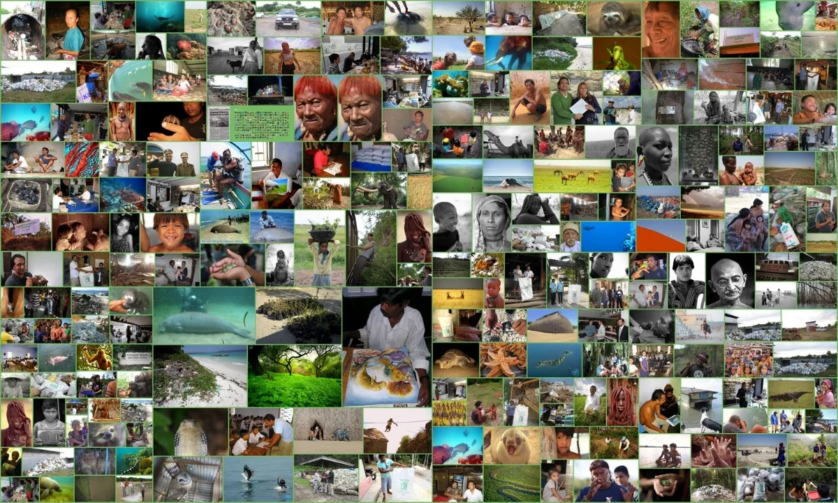 Collages.jpg