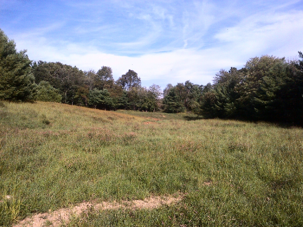 After ... The same site, the next year.