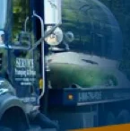NEEnvironmentalThumbnail.jpg