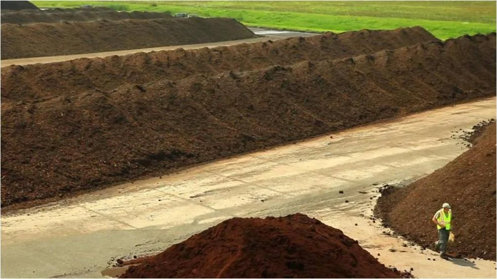 HRCF piles.jpg