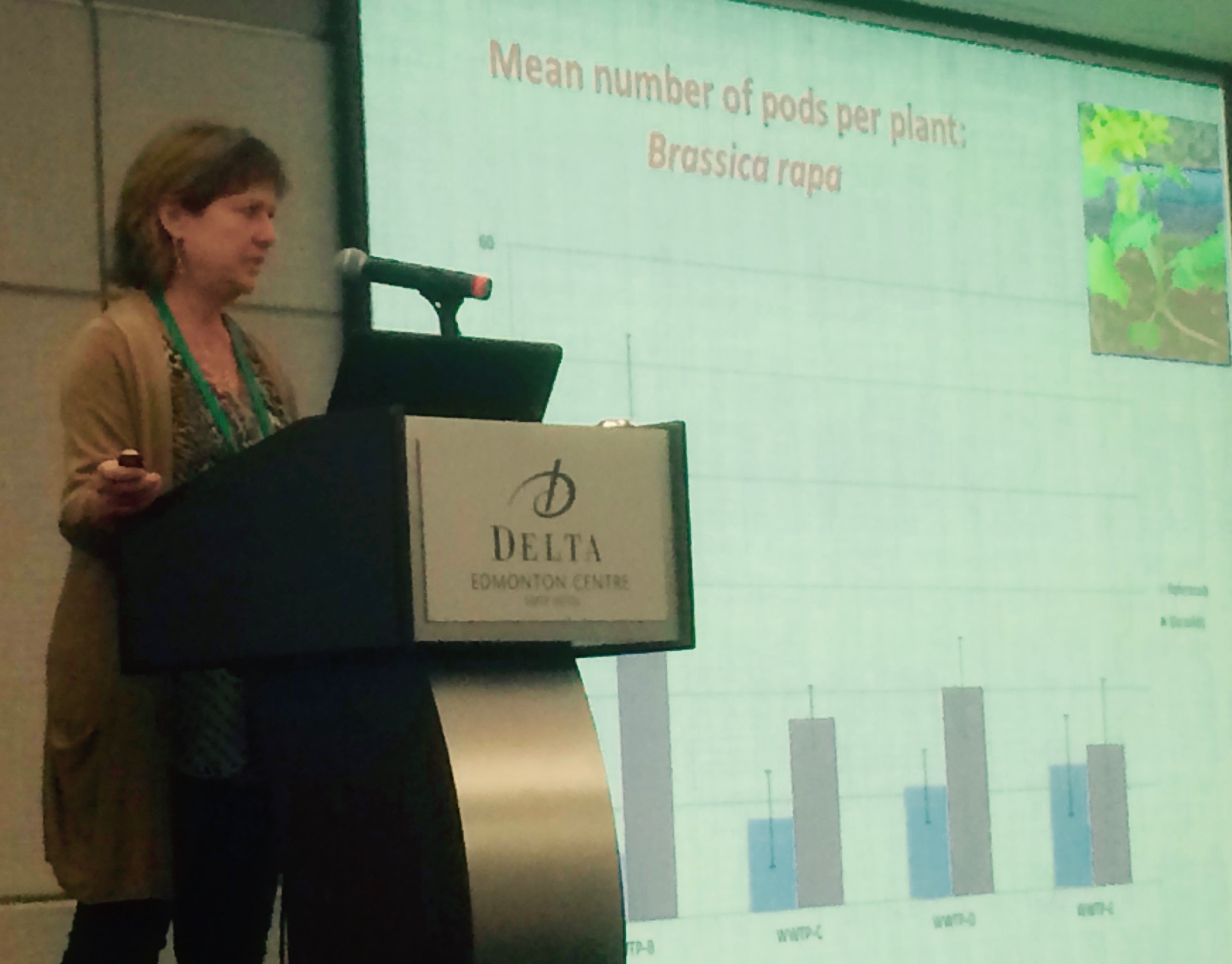 Dr. Lynda H. McCarthy, Professor, Dept. of Chemistry & Biology, Ryerson University, Toronto