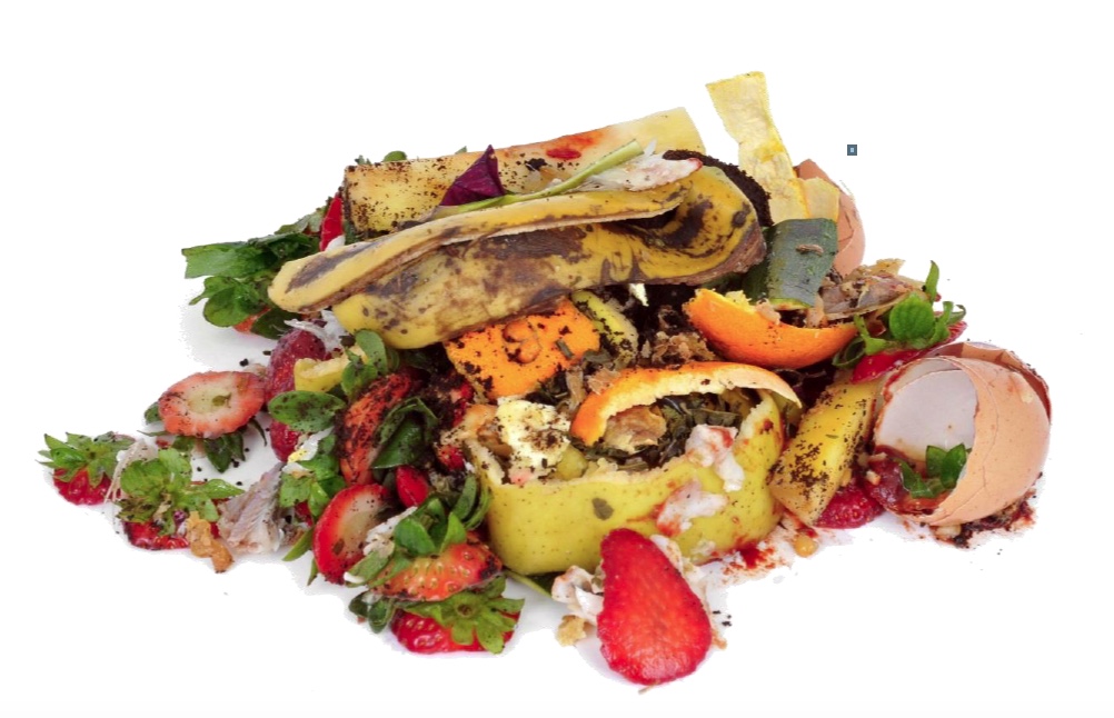 FoodScraps.jpeg