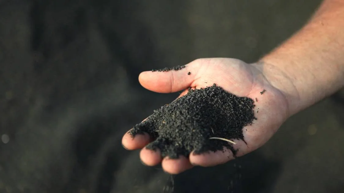 dried, pelletized biosolids fertilizer