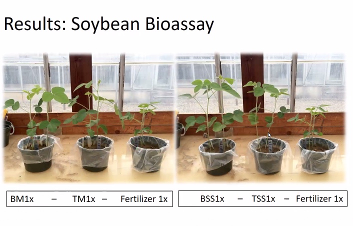 VA Tech research shows marked increase in growth & vigor in plants grown with Bloom (l) & Tagro (center).