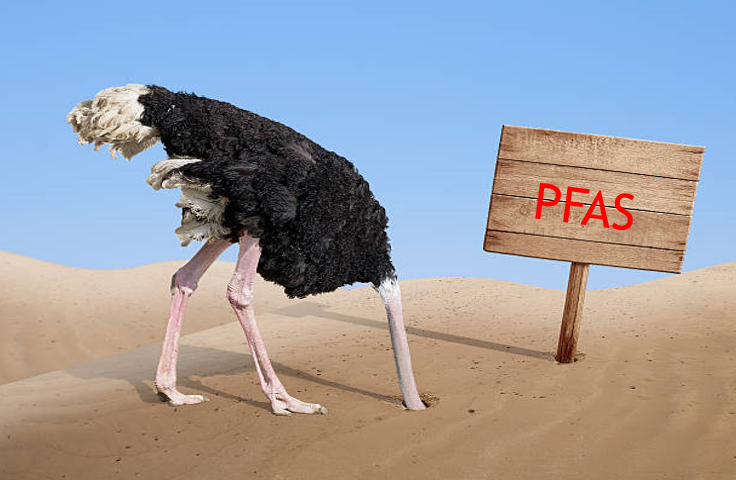 PFAS Ostrich.png