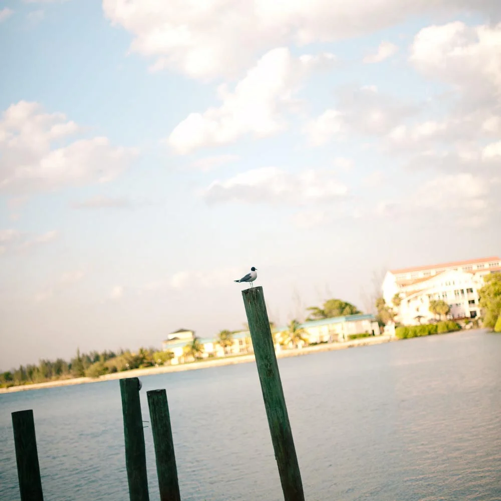 Photograph Courtesy of Flying Fish Restaurant