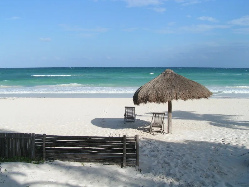 Bartender's Trip to Tulum