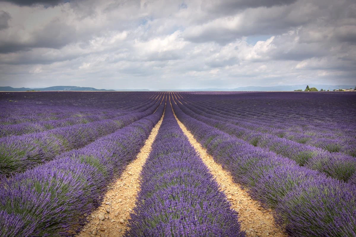 Chef's Journey Through Provence & The Black Forest