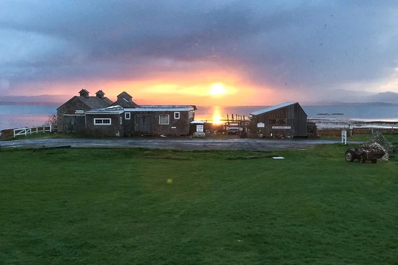 Photograph couresty of the Oysterville Sea Farm