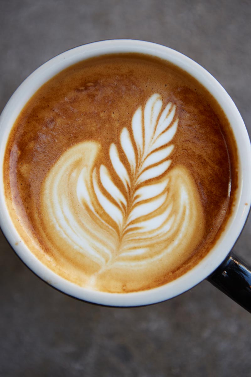 Roaster's Coffee Recs in Philadelphia