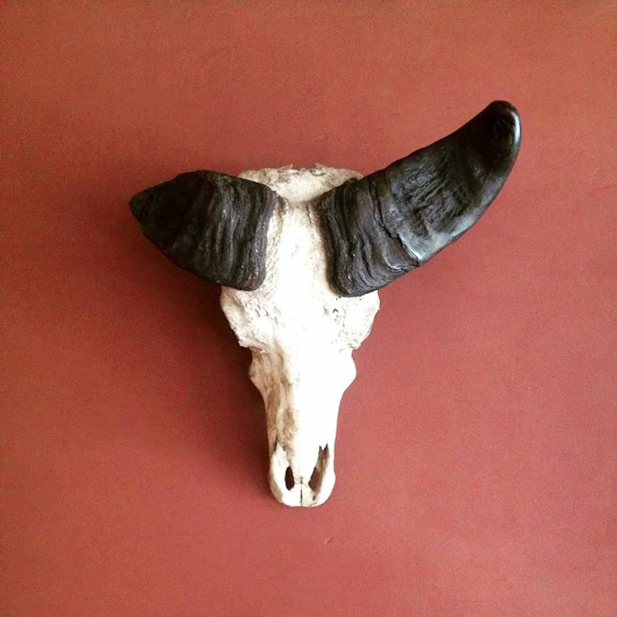 5 New Non-French Paris Spots