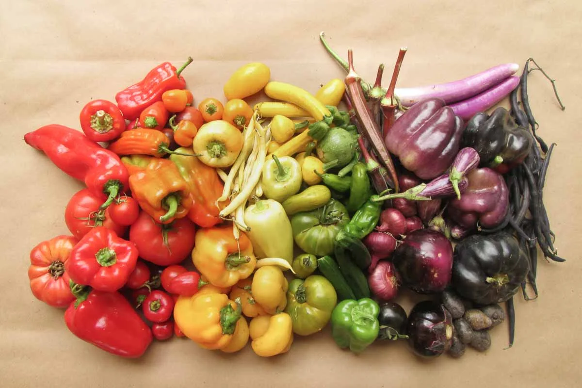 Photograph courtesy of Grow NYC