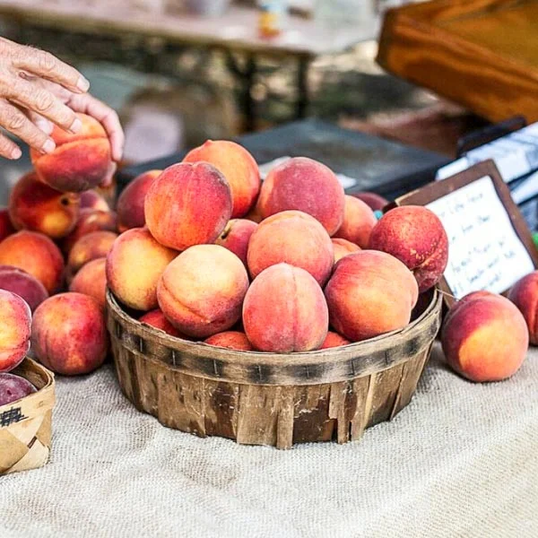 Photograph courtesy of Charleston Farmers Market