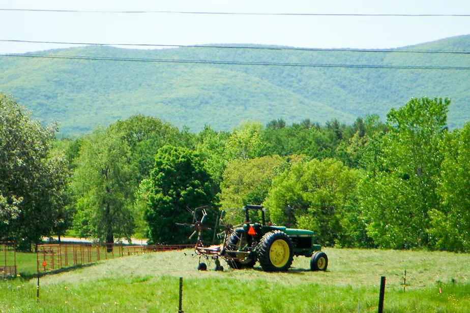 Photograph courtesy of East Mountain Farm