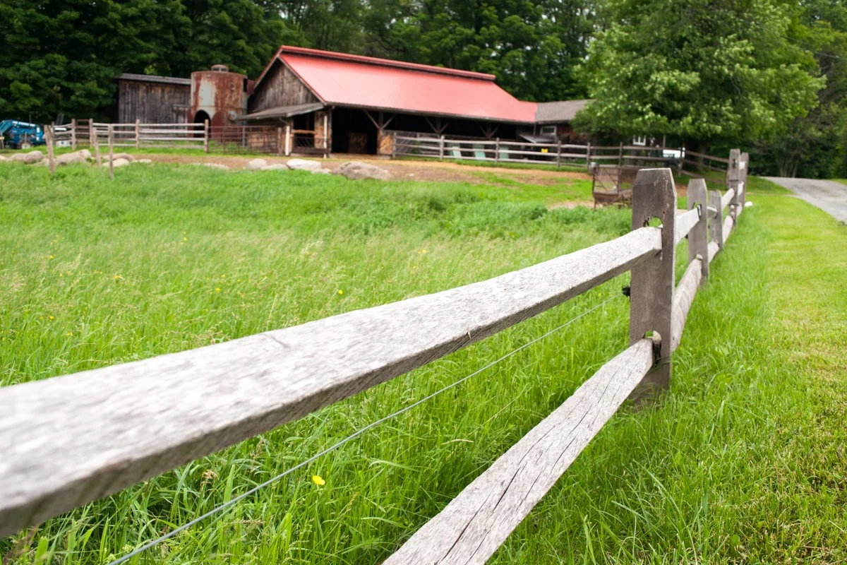 Photo Credit: ©Find. Eat. Drink.