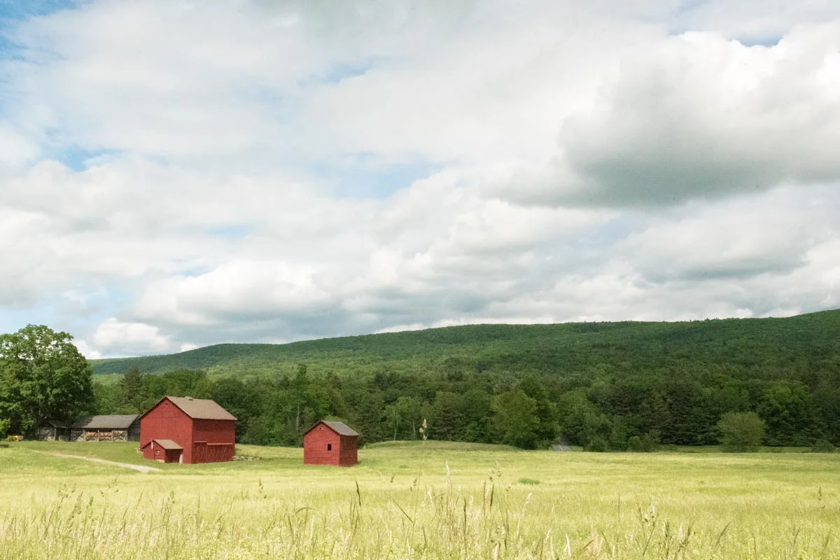 Photo Credit: ©Find. Eat. Drink.