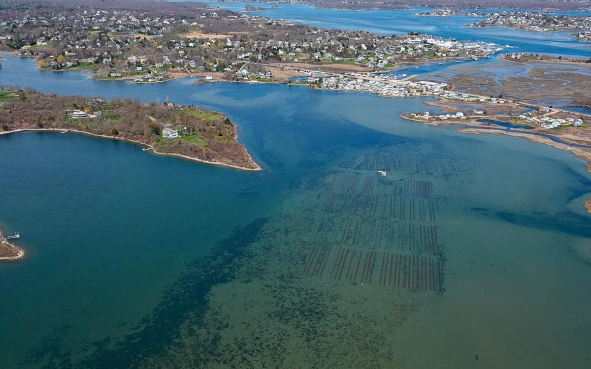 Photograph courtesy of Matunuck Oyster Bar