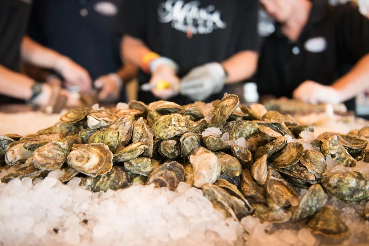 Matunuck Oyster Bar | P hoto Credit: ©Find. Eat. Drink.