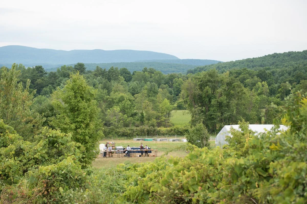 Mill River Farm