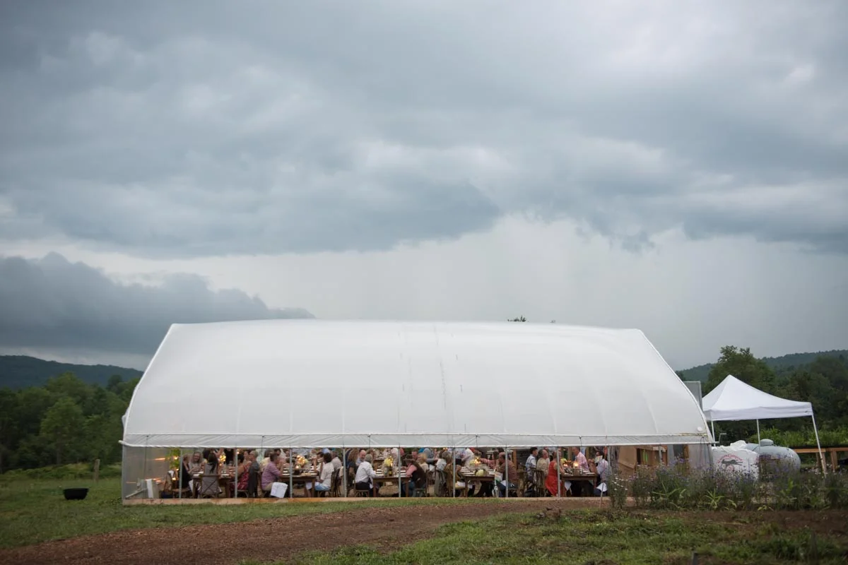 Shelter from the Storm