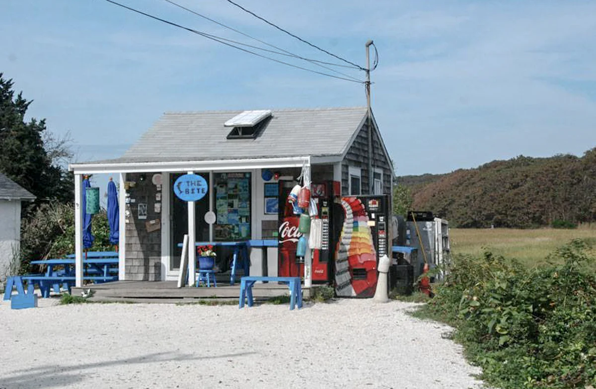 Photograph courtesy of The Bite