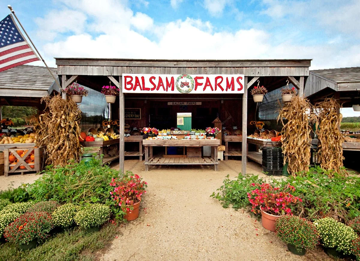 Photograph courtesy of Balsam Farms