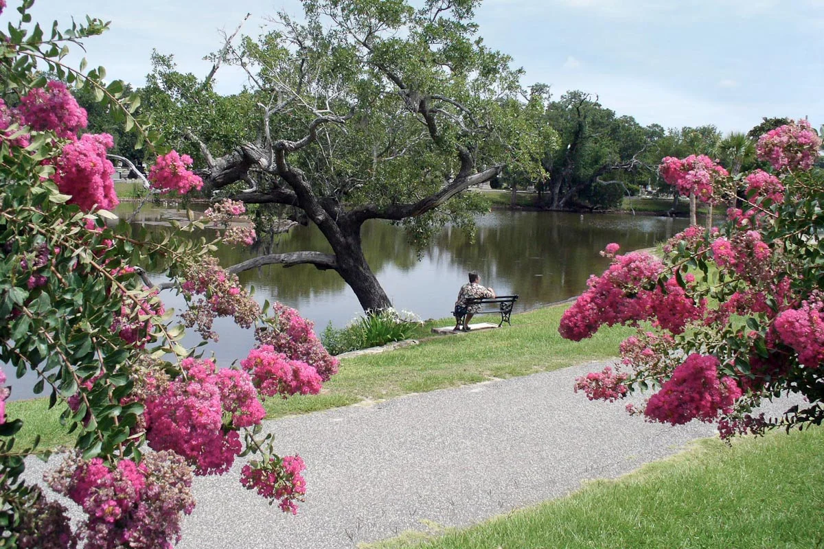 Photograph courtesy of Magnolia Cemetery