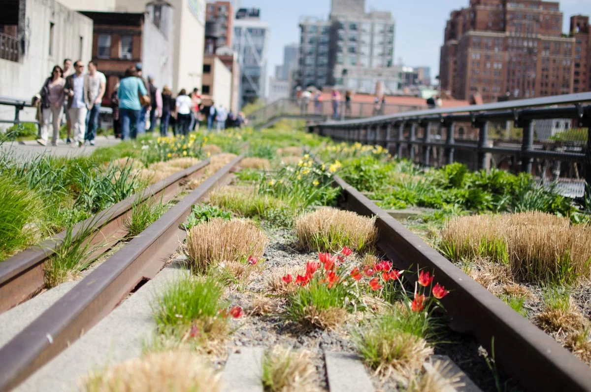 High Line | Photo Credit: ©Find. Eat. Drink.