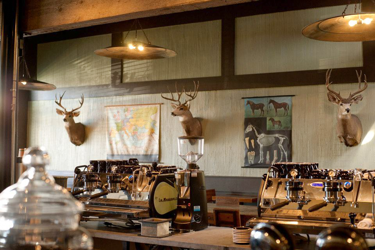 Photograph courtesy of Mudsmith