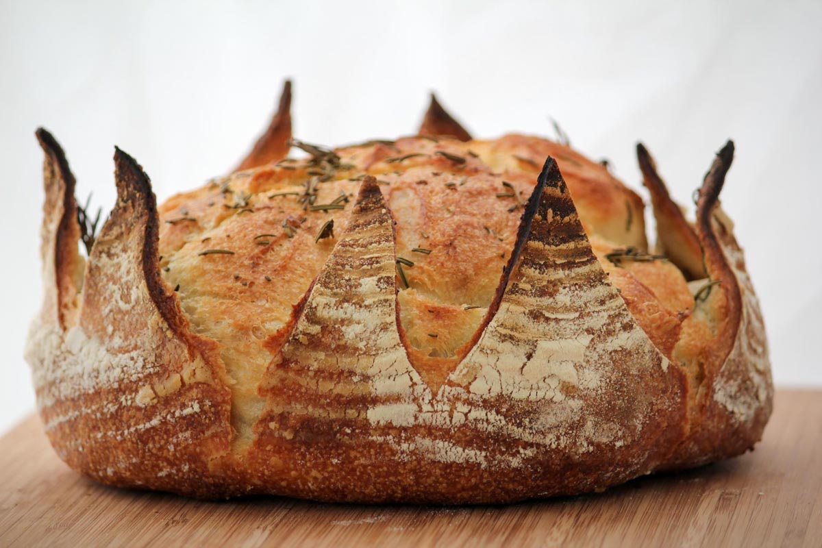 Photograph courtesy of Village Baking Co.