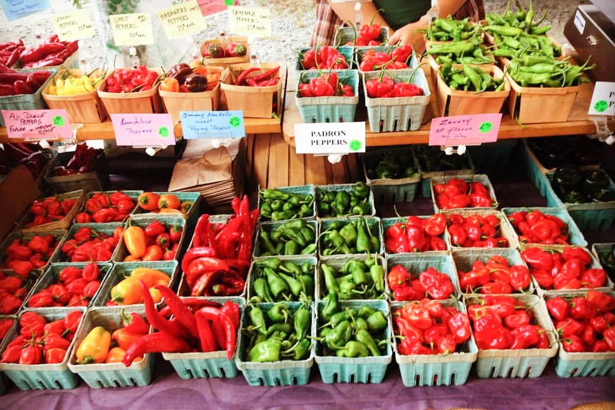 Photograph courtesy of Durham Farmers Market