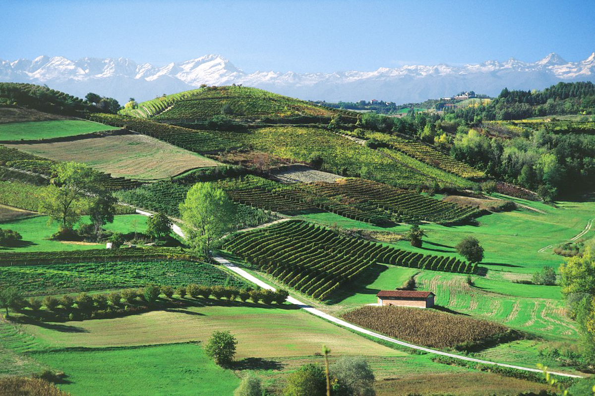 Photograph courtesy of Trattoria dai Bercau